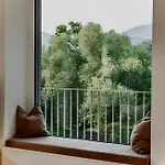 Apartment Forest Sky - *