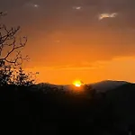 Апартаменти Forest Sky -