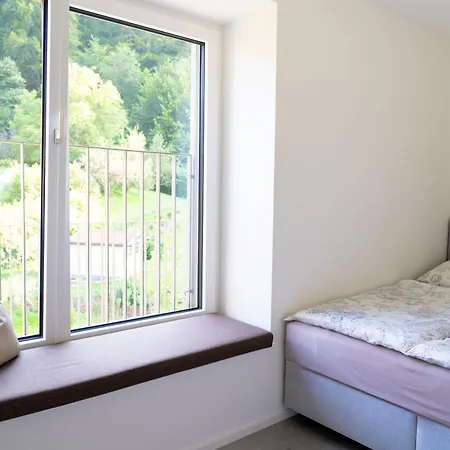 Forest Sky - Daire Graz