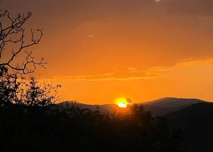 Appartamento Forest Sky -